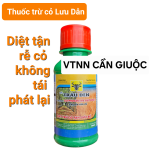 Thuốc trừ cỏ Lưu dẫn tận gốc HAIHADUP 480SL - TRÂU ĐEN (Chai 100ml) 📛 AAA HELOSATE 480SL