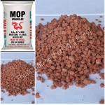 (Túi 5kg) Phân bón KALI GRANULAR Đỏ - Hàng Nhập Khẩu MOP" Chiết lẻ từ bao 50kg